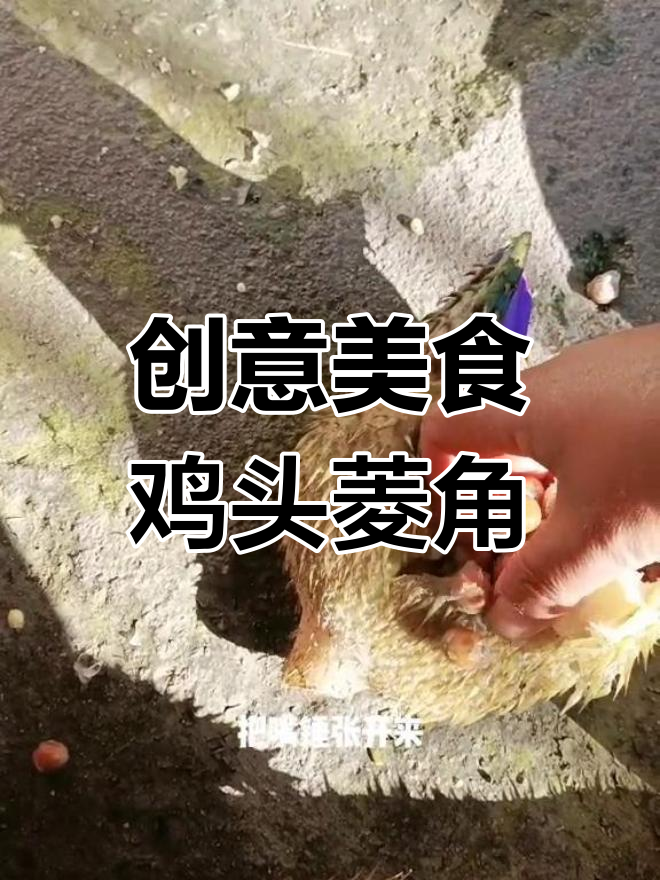 厨师妙手,鸡头菱角变美味!