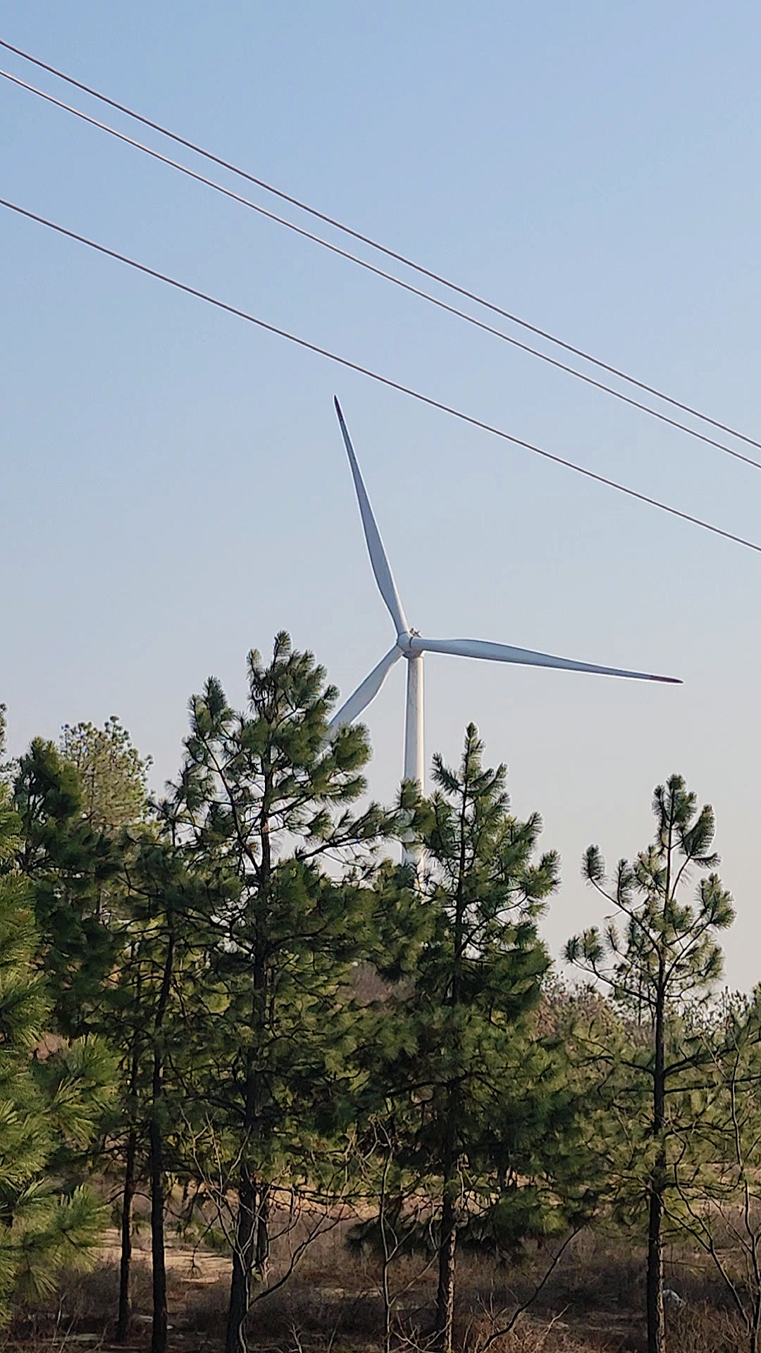 原来风力发电的大风扇是这样的声音