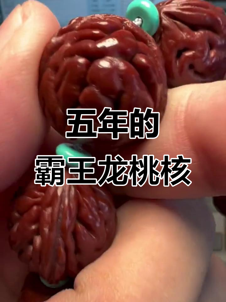 五年盘玩霸王龙桃核,你的串红了吗?