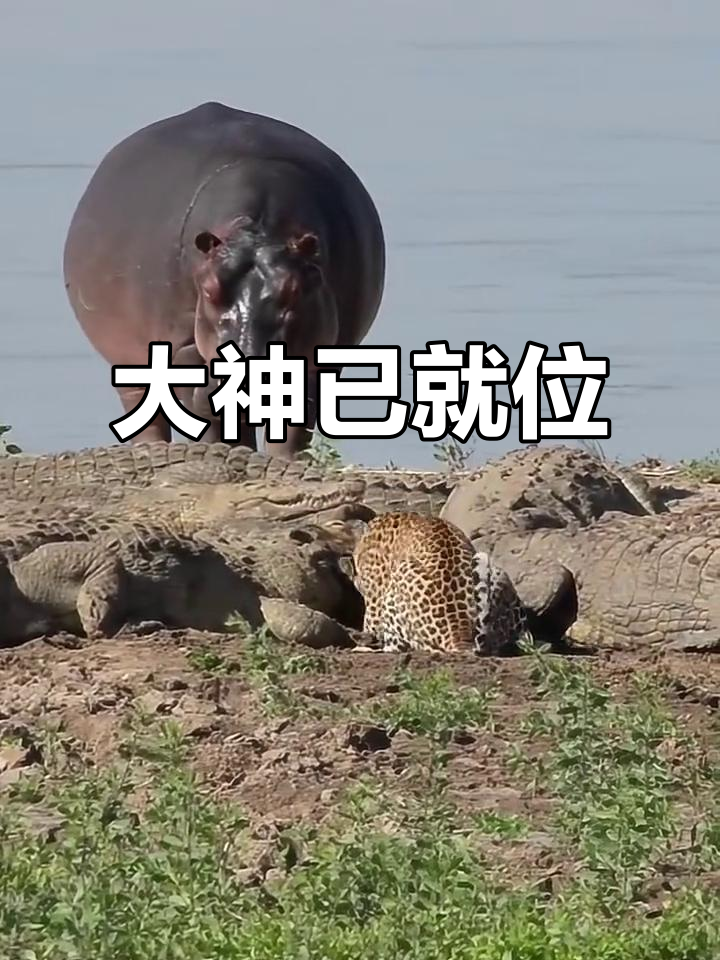 各路大神齐聚,精彩瞬间不容错过