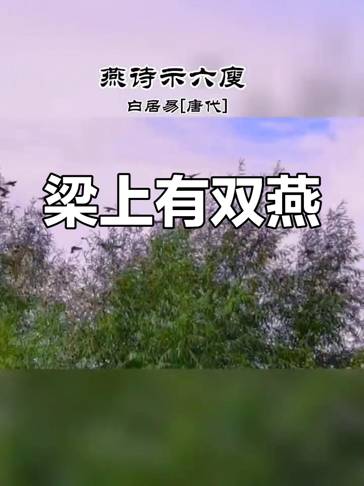 白居易《燕诗示刘叟》:双飞燕子,翩翩起舞的母子情深