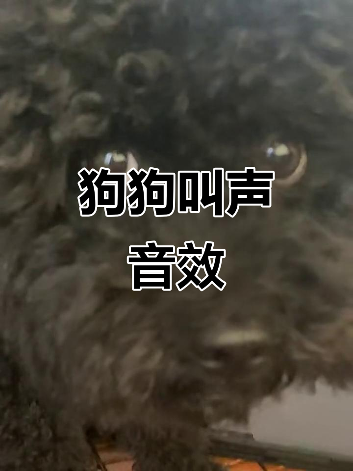 狗叫声模拟器,太逼真了!