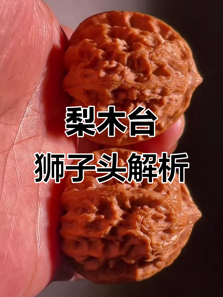 梨木台狮子头:油蜡皮核桃的魅力与盘玩技巧