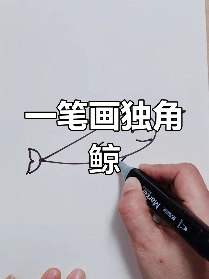 轻松学画独角鲸