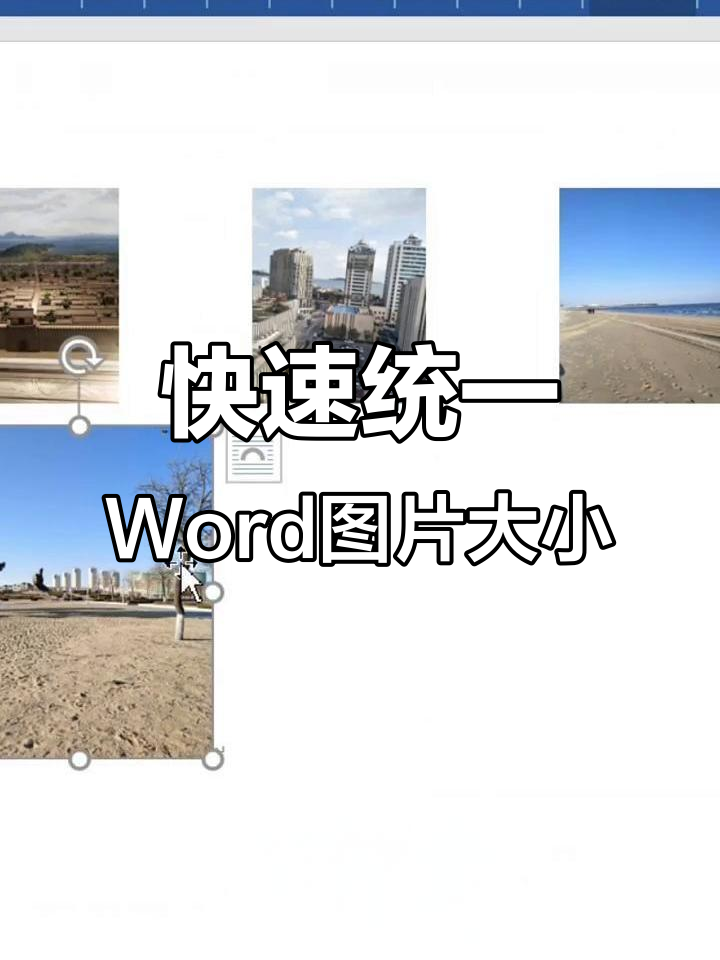 word批量调整图片大小,快速统一尺寸