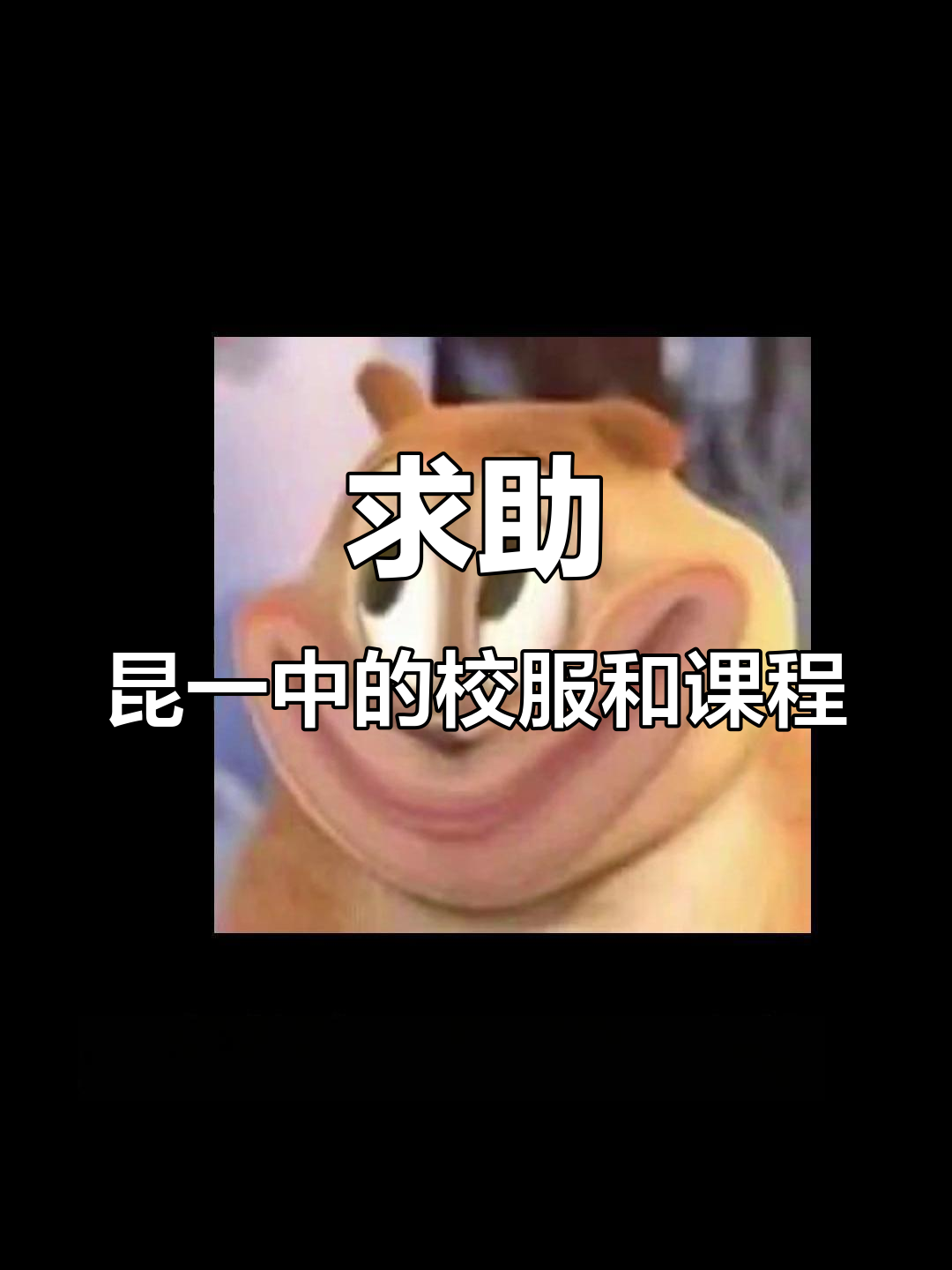 昆一中本部校服揭秘,课程安排全解析