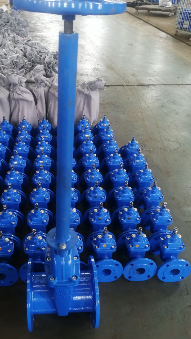 红尔旺 球墨铸铁法兰加长杆闸阀-度小视