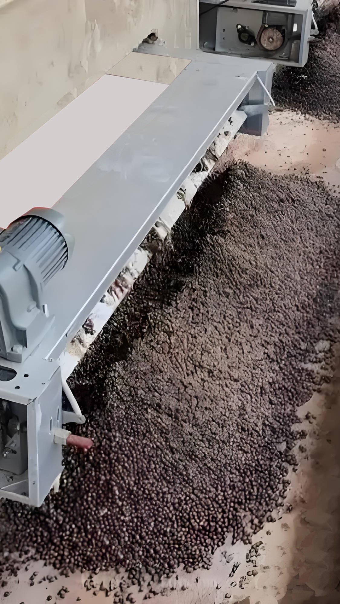 羊场必备的羊场带式清粪机,轻轻松松解决羊粪清理难题