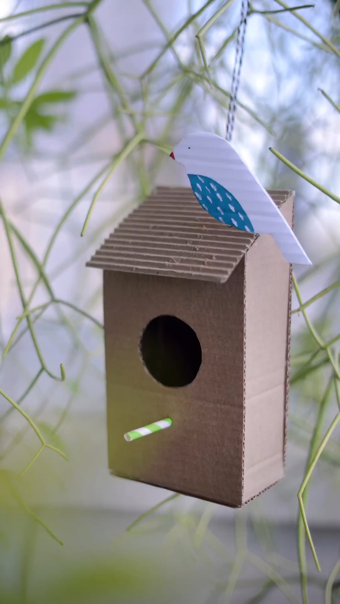 鸟窝,利用家里的闲置纸盒,陪孩子一起做一-度小视