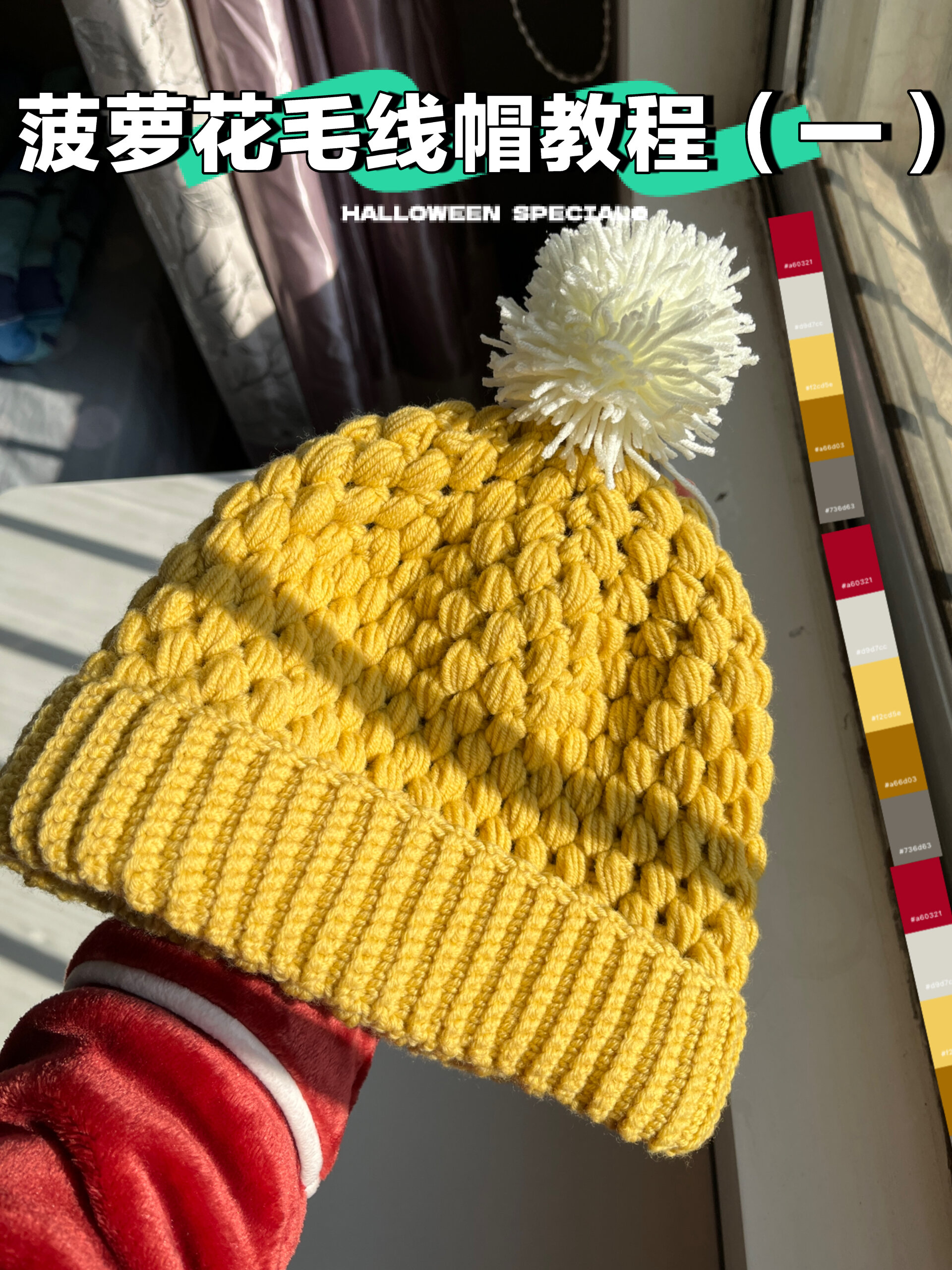 「钩织教程」菠萝花毛线帽钩织教程(一)