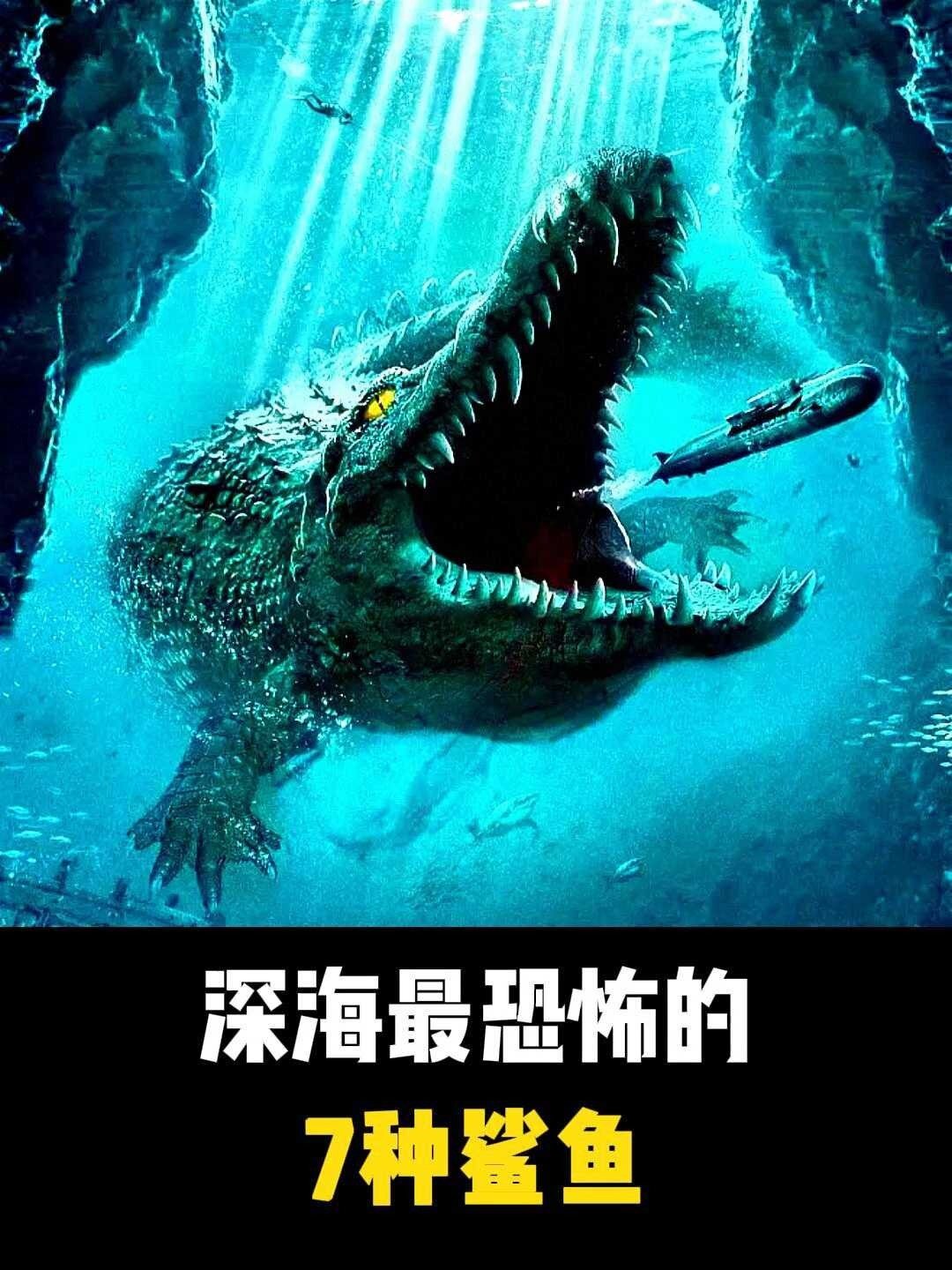 史上最可怕的鲨鱼鬼鲨