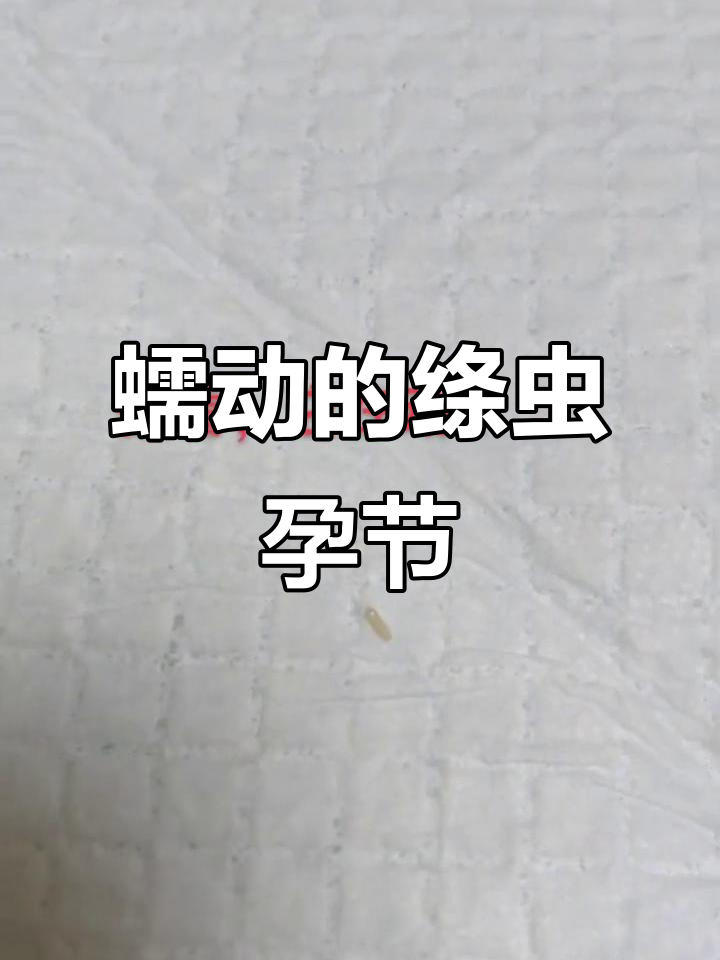 绦虫孕节蠕动,细节揭秘