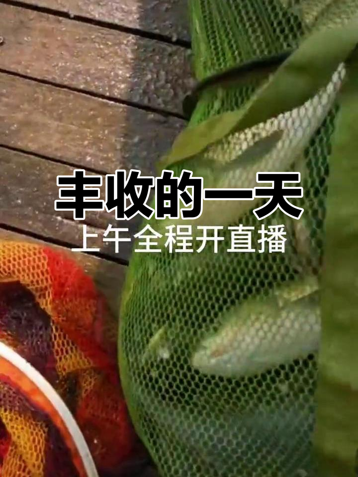 一天挣5000块钱捕鱼一年赚多少(一天挣5000块钱捕鱼一年赚多少钱)