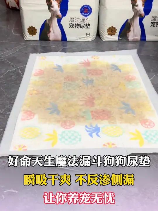 狗狗尿垫的正确垫法图片