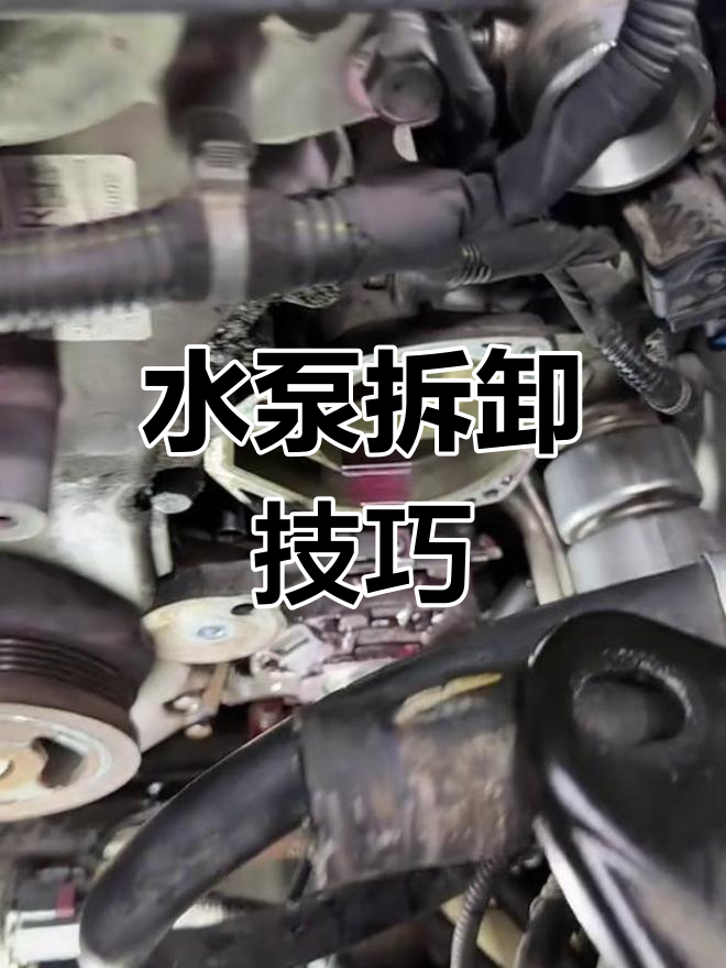 水泵拆解大揭秘,竟然能这样操作!