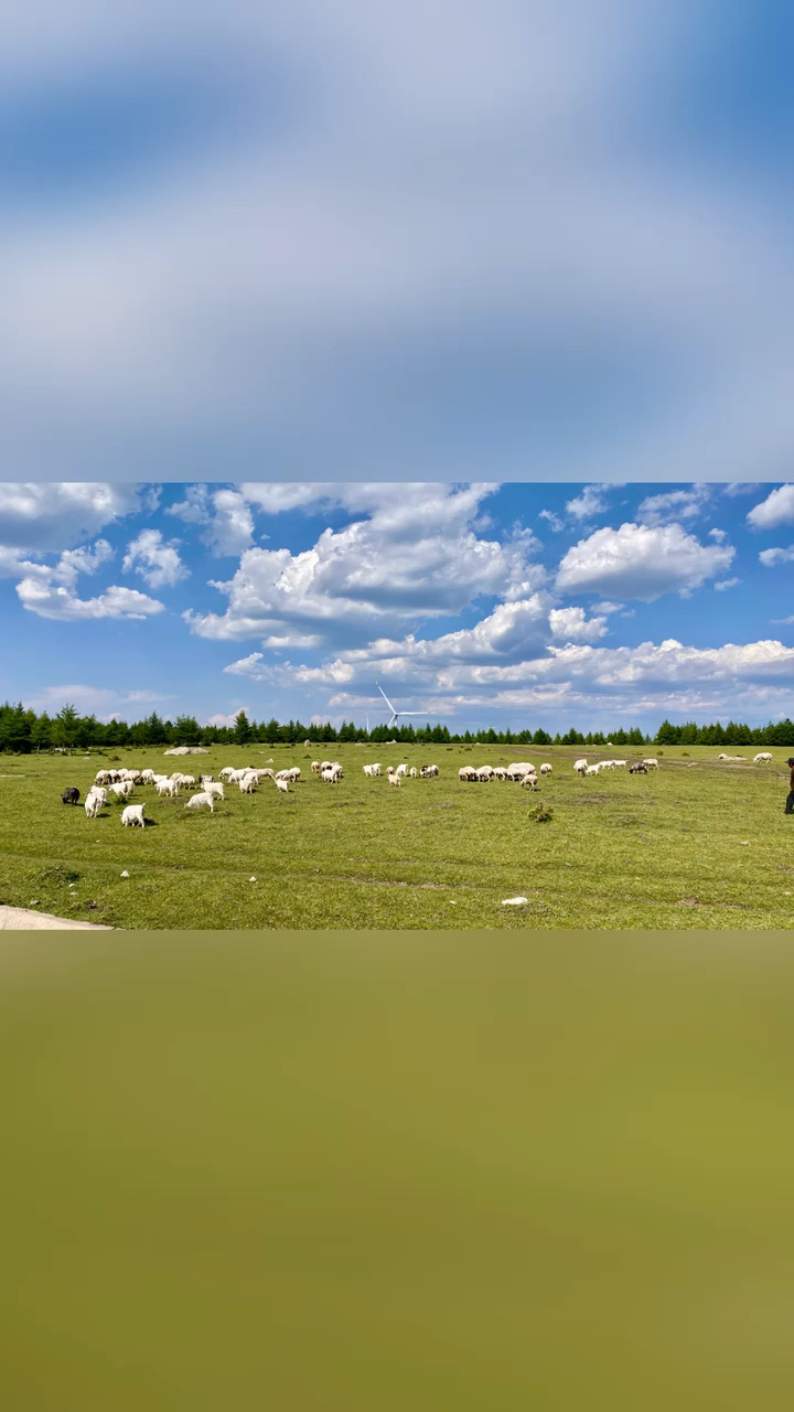 张家口蔚县空中草原