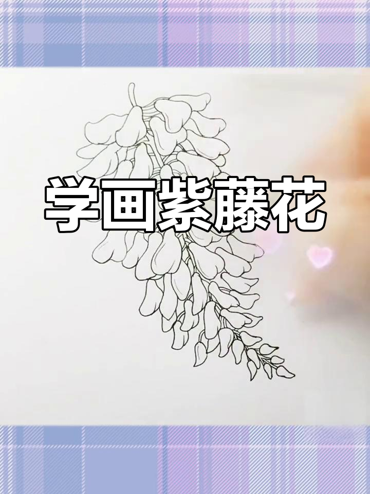 紫藤花简笔画教程,轻松学会花卉绘制