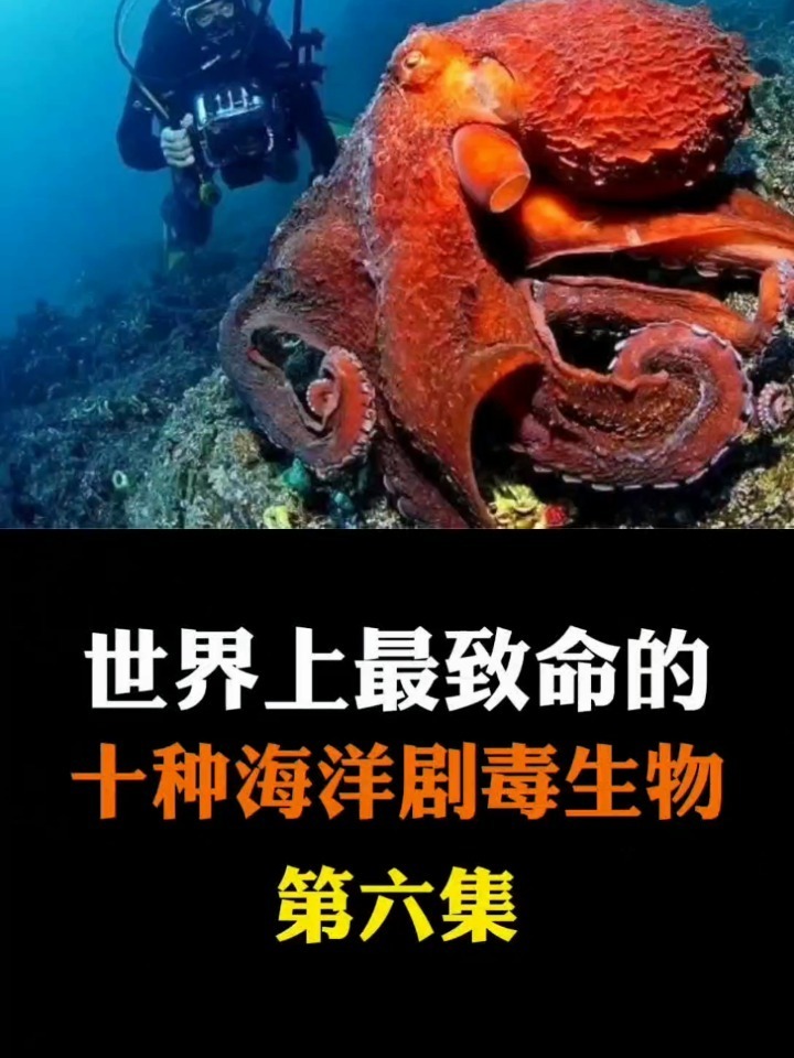 海洋致命细菌图片