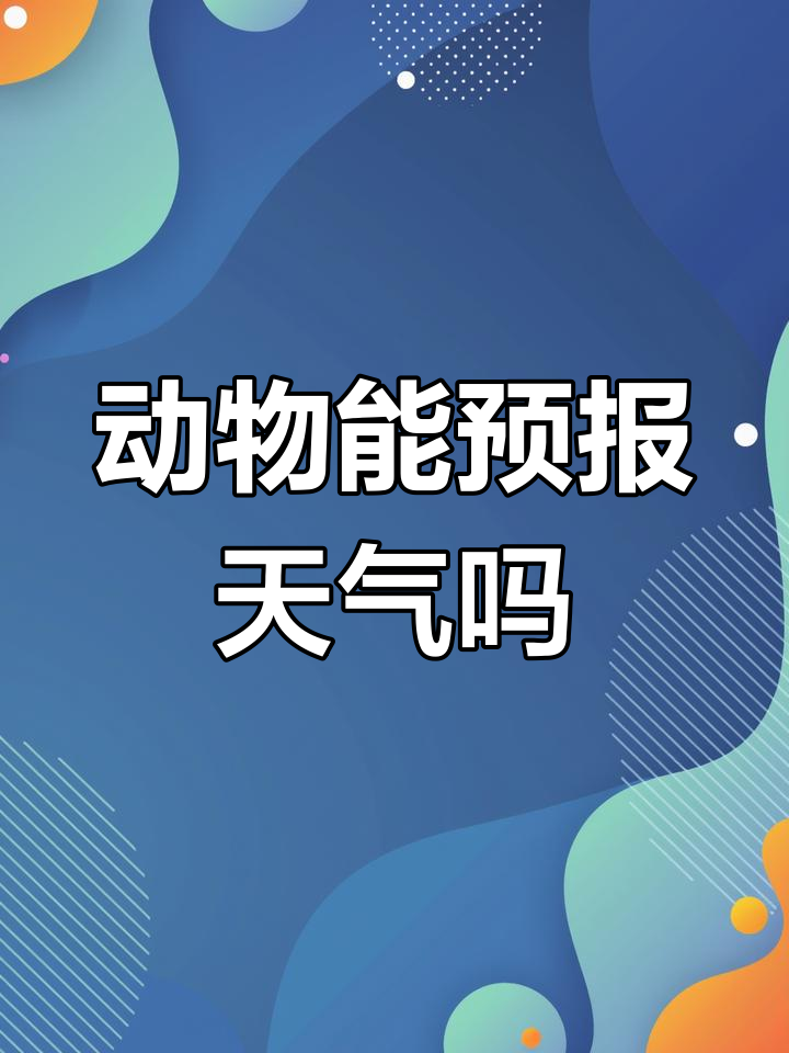 动物预报天气
