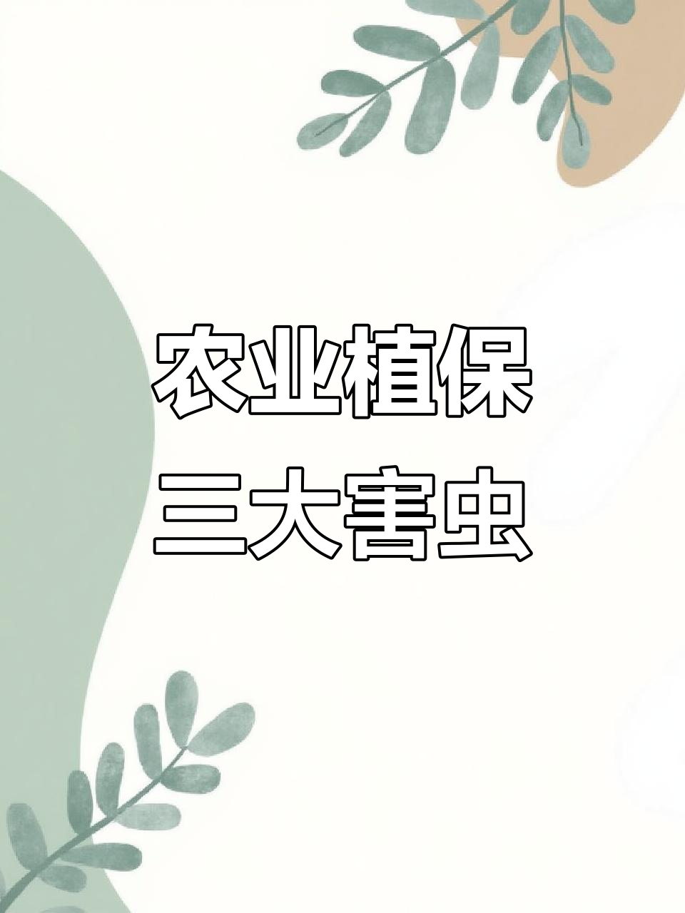 二化螟,稻纵卷叶螟与黄金卷叶螟:植保全攻略