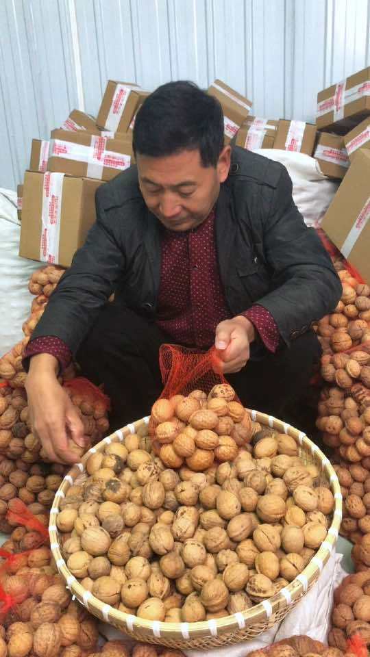 秦岭农家老树核桃 陕南土特产 陕南核桃哥 秦岭老树核桃 山货 山核桃