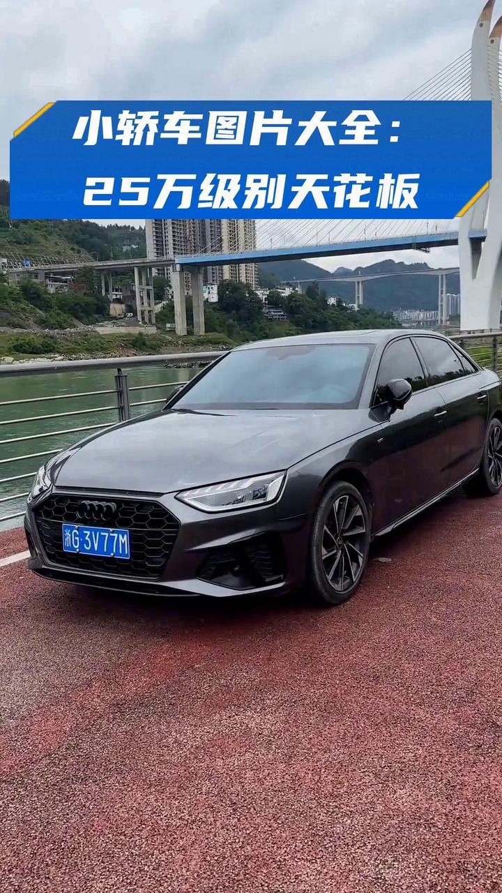 25万轿车型推荐