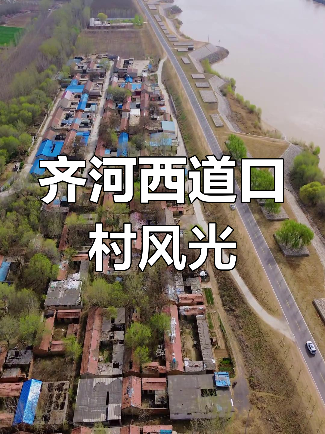 齐河县祝阿镇西道口村:黄河畔的美丽乡村与乡愁记忆
