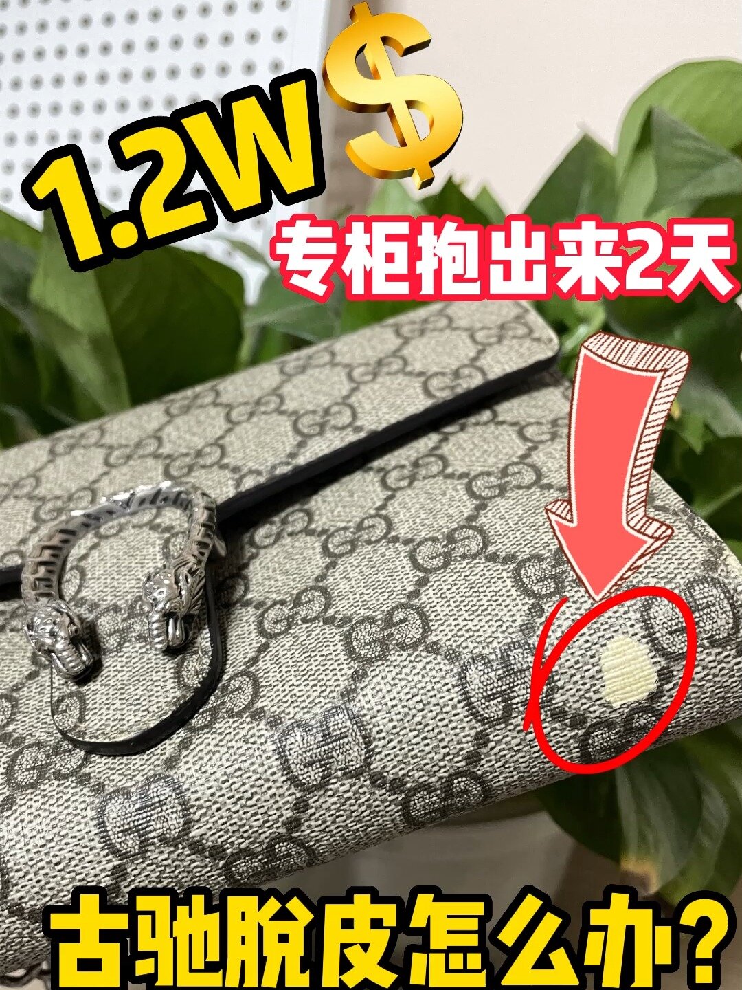 古驰包包为什么这么容易破皮?