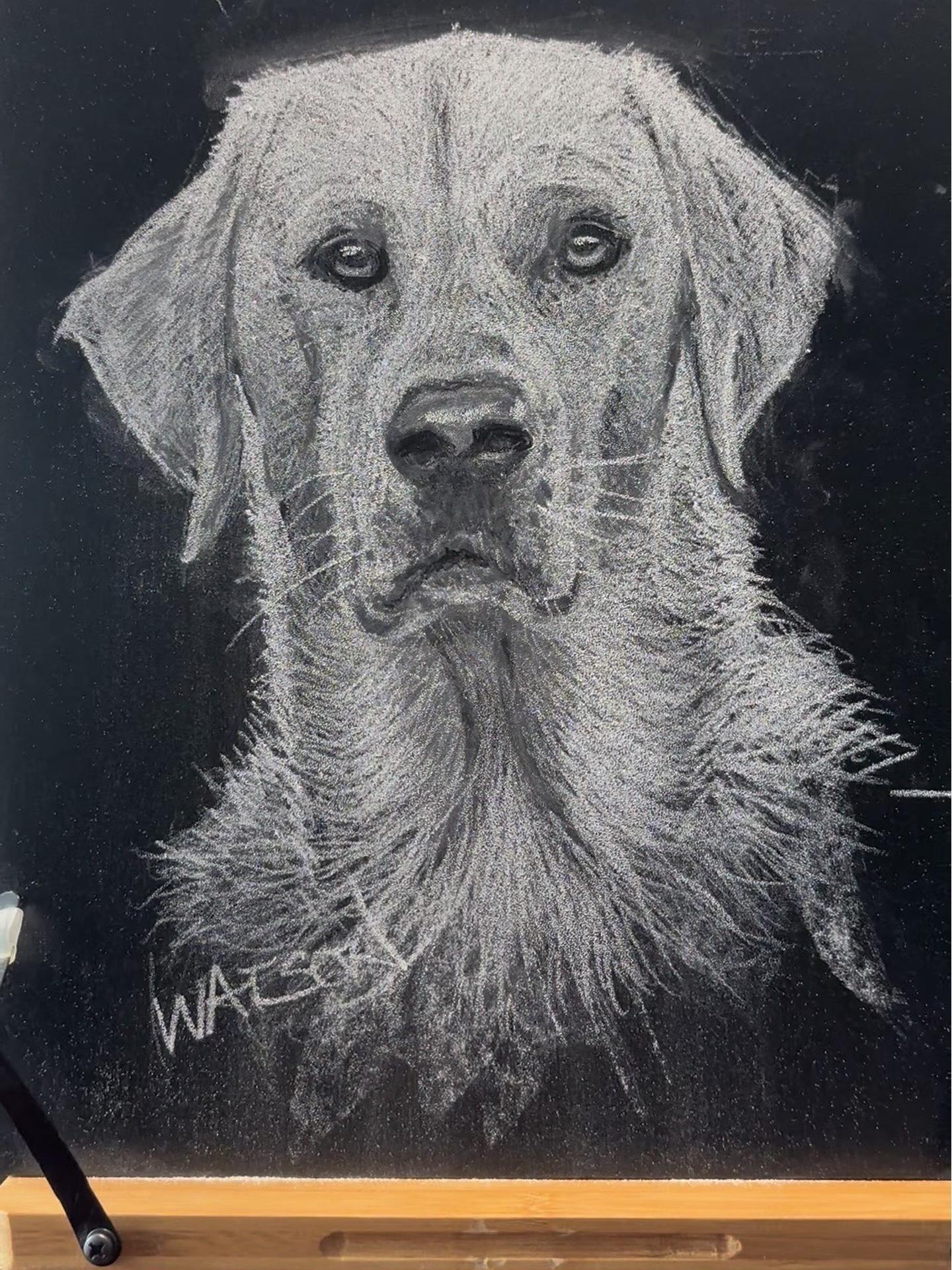 黑板粉笔画可爱动物 这是粉笔作画的天花板吧 粉笔画 黑板报大神级别