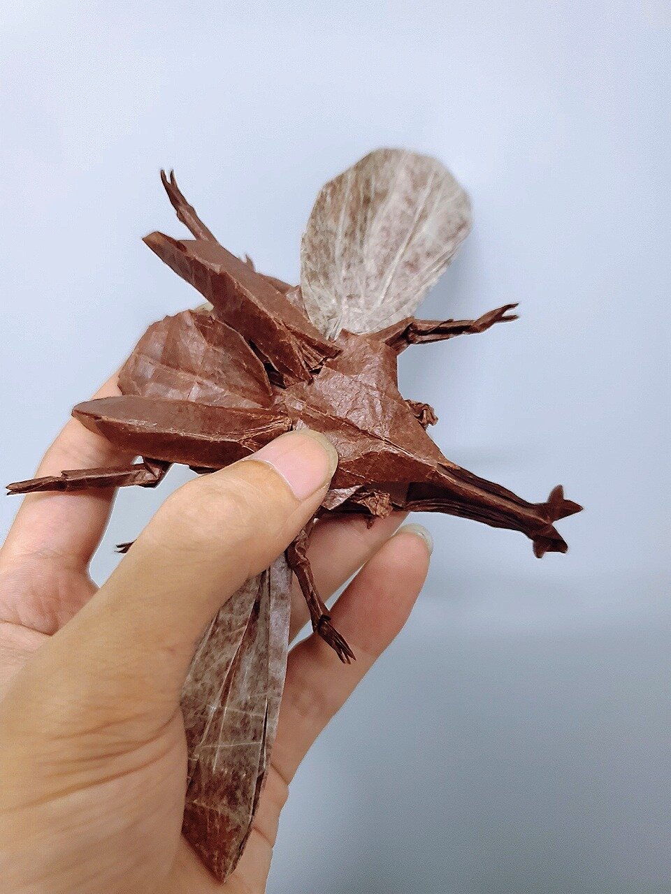 折纸加藤飞天独角仙