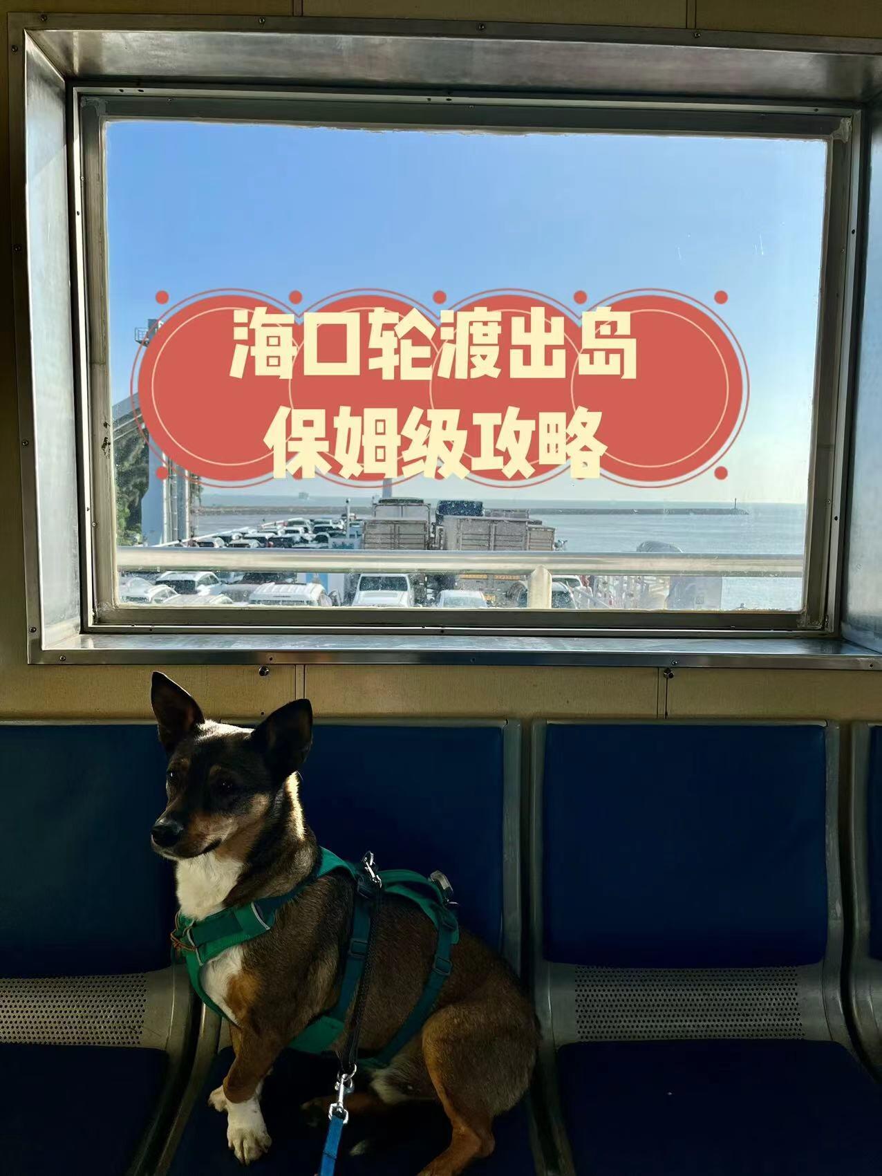 海南离岛海口轮渡保姆级攻略——海口南港