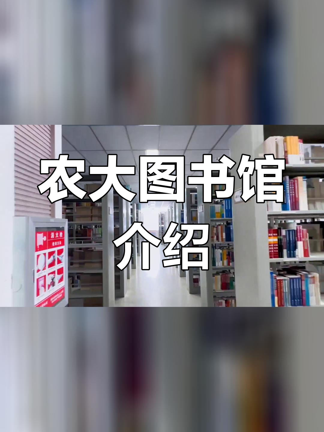 内蒙古农业大学图书馆图片