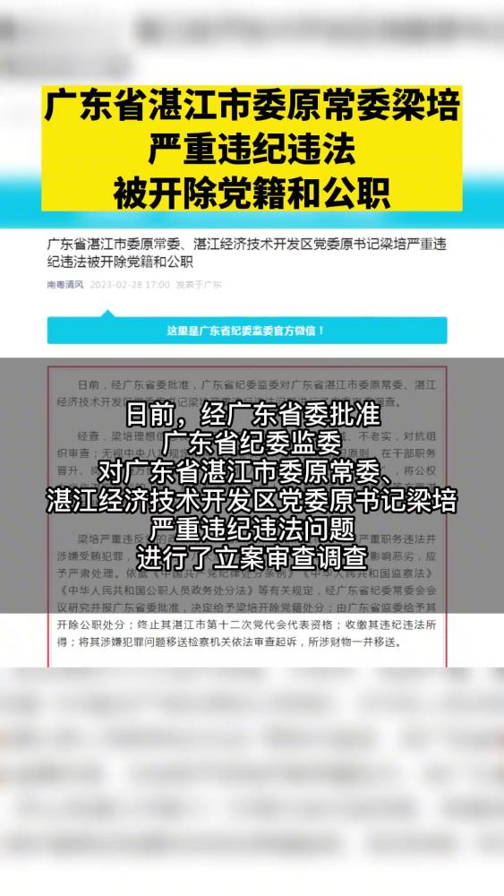 广东省湛江市委原常委梁培严重违纪违法,被开除党籍和公职,社会,党建,好看视频