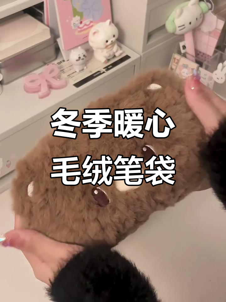 寒冬必备!毛茸茸笔袋,温暖你的学习时光