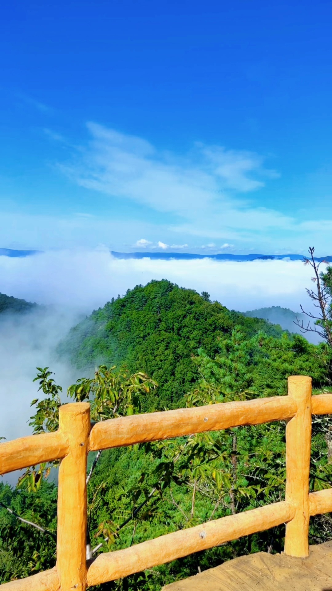 黑龙江伊春金山屯金祖峰旅游攻略