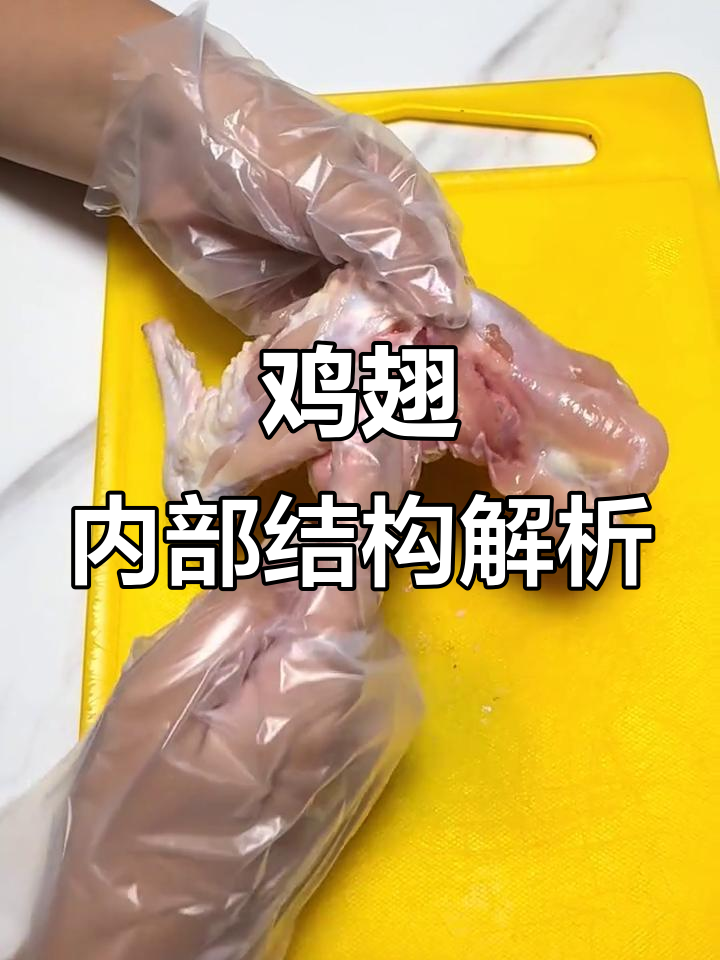 解剖鸡翅,观察肌肉与关节的奥秘