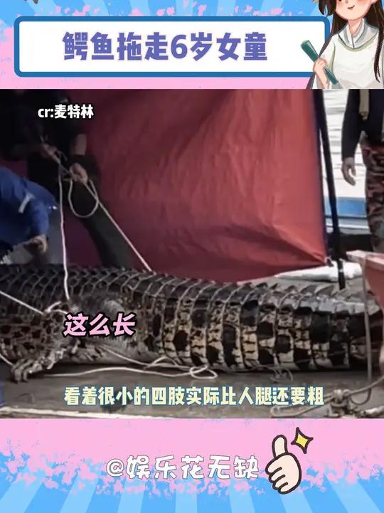 鳄鱼的压迫感真的好强 鳄鱼 马来西亚