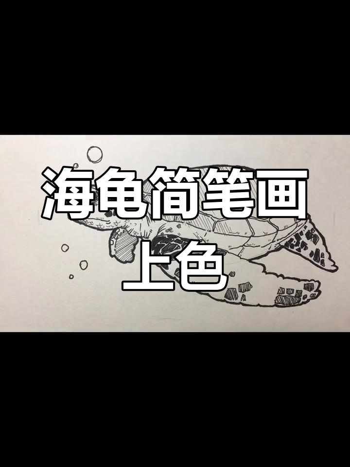 弟弟画海龟,我帮忙上色,简单又有趣