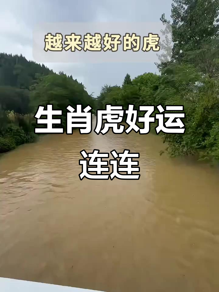 未来五年虎生肖运势如何(属虎未来)