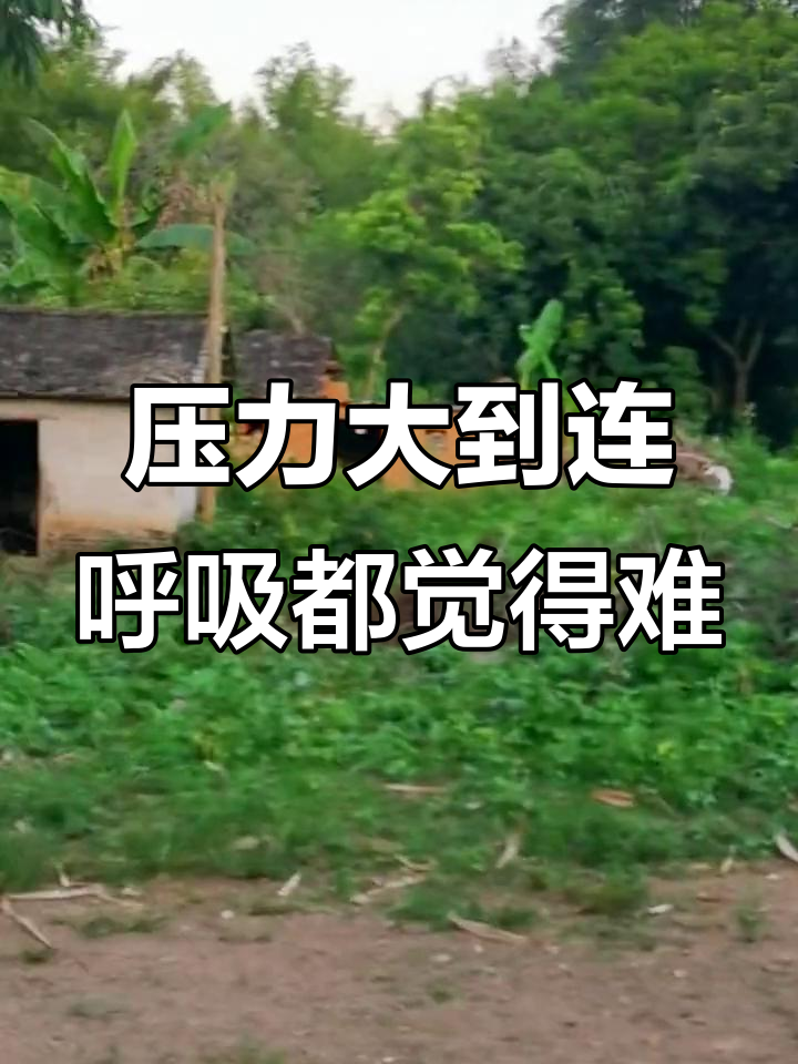 空气都像山一样压得喘不过气,生活压力山大!