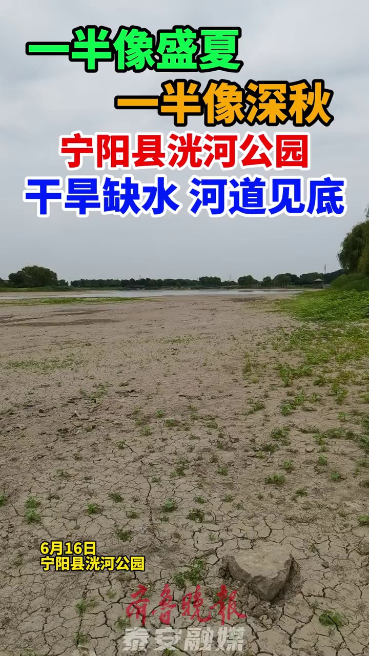 宁阳洸河公园简介图片