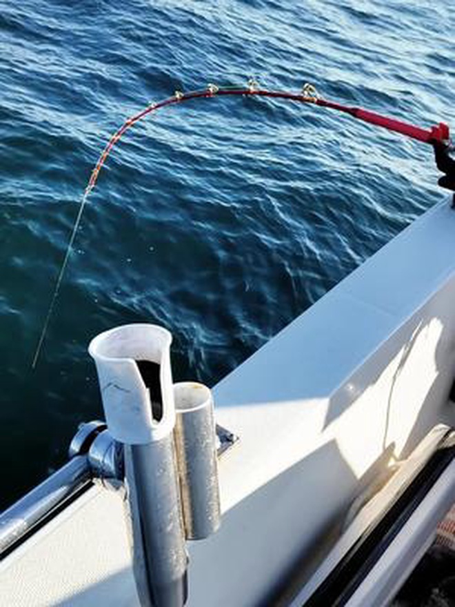 听着电轮的咆哮声胜比好听的配乐只有钓鱼人才懂得的旋律 钓鱼人