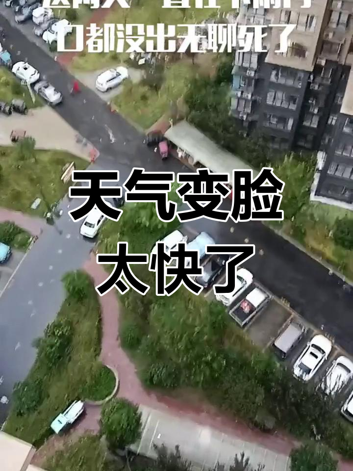 天气变化太快,昨天热得不行,今天冷到怀疑人生
