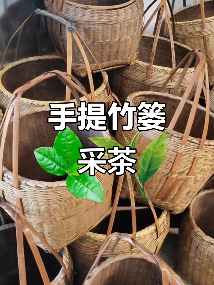 采茶必备工具:手提竹篓,轻松采摘茶叶
