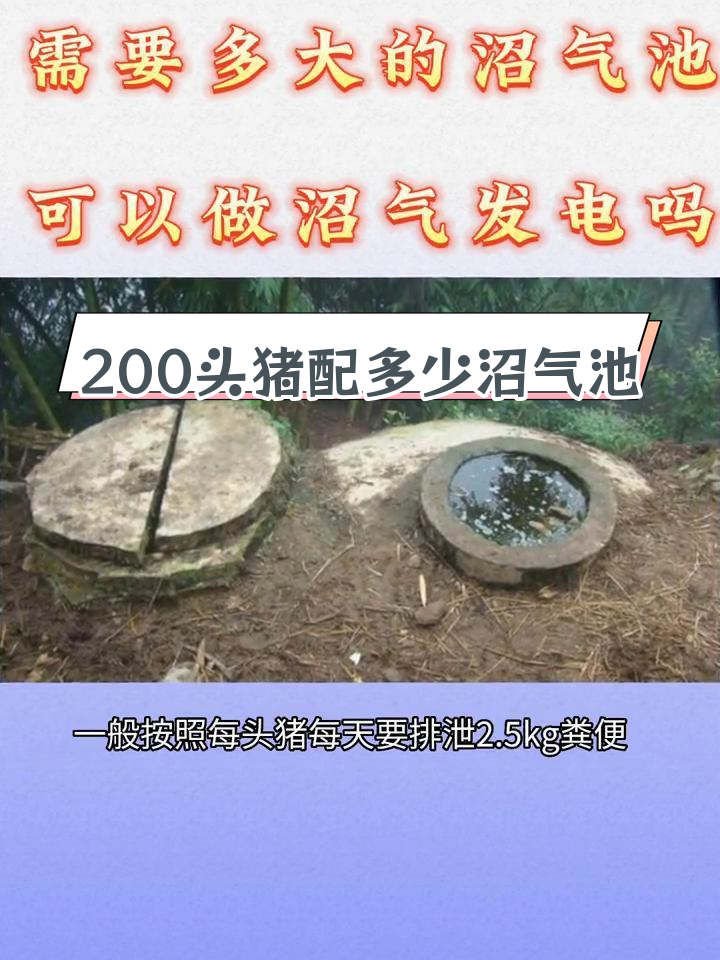 200头猪场需建多大沼气池?能否发电?
