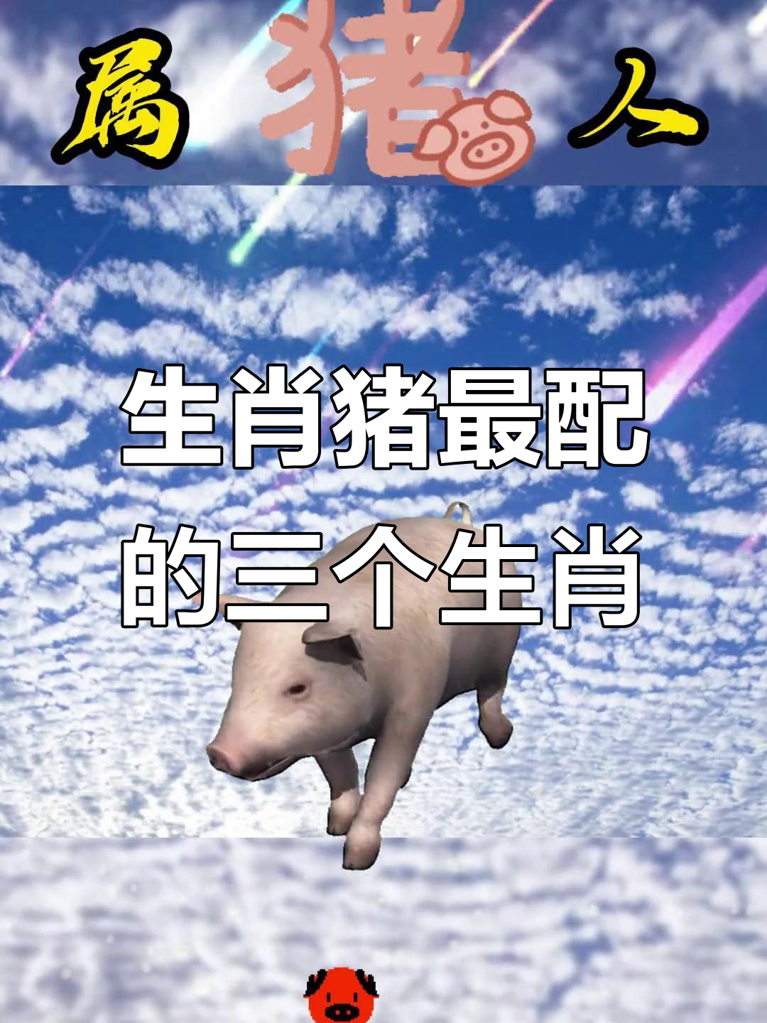 属猪的最佳配对生肖,看看谁最适合你