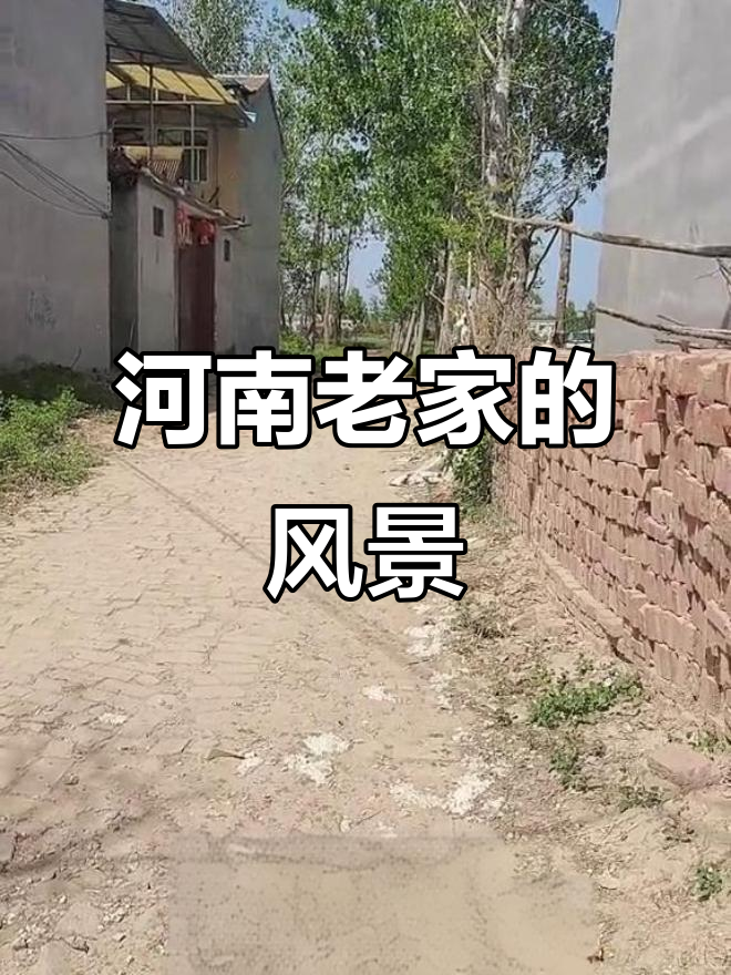 河南老家美景,8090后的记忆与情怀