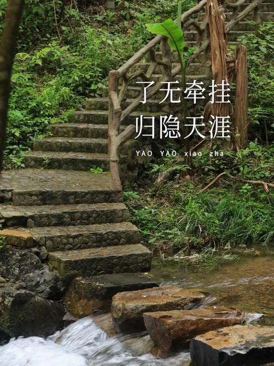 深山草屋为家,了却人世浮华.归隐 乡居 诗词