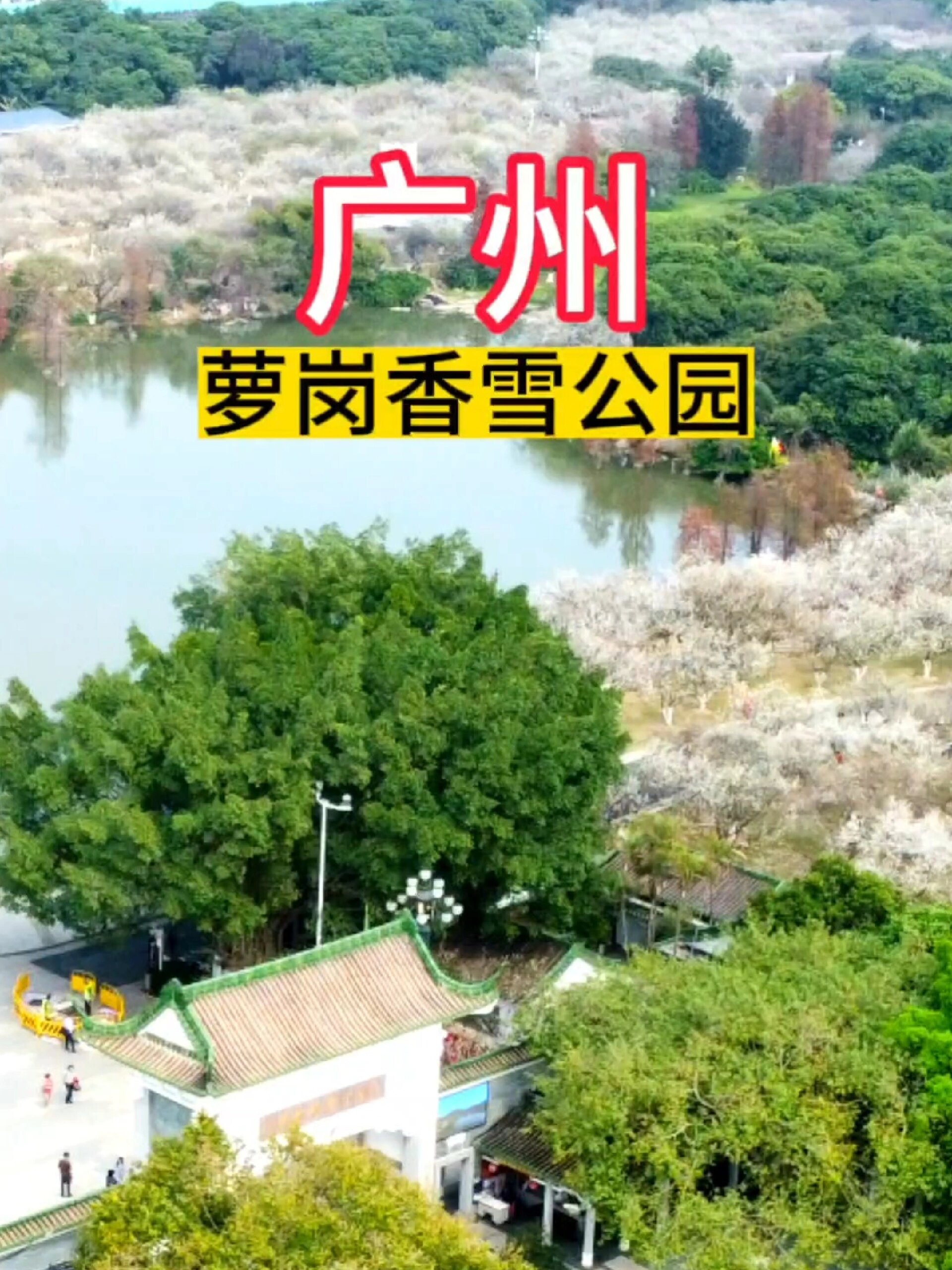 萝岗香雪公园图片