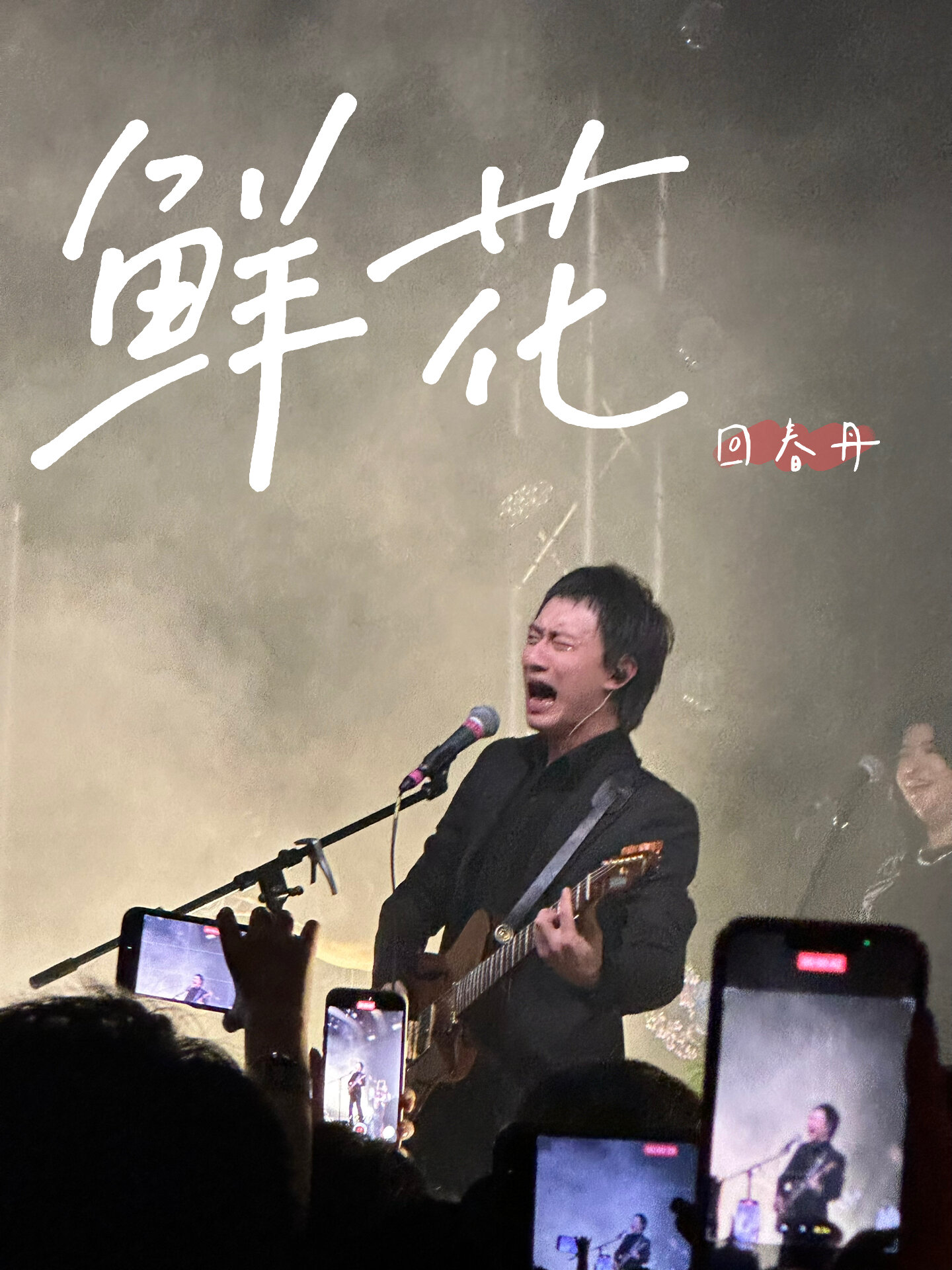 回春丹鲜花现场|永远开满 永远开满